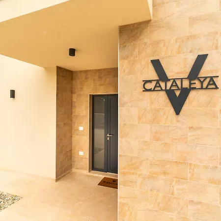 Cataleya * Smoljanci